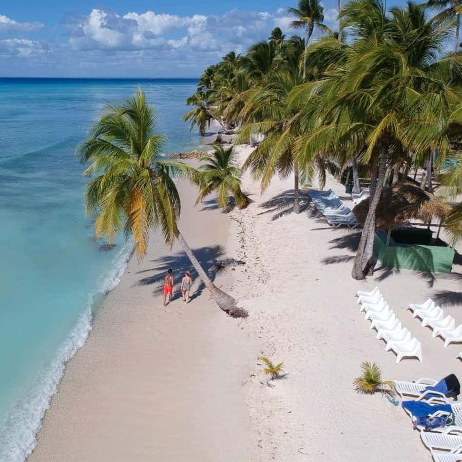 experience saona island from punta cana