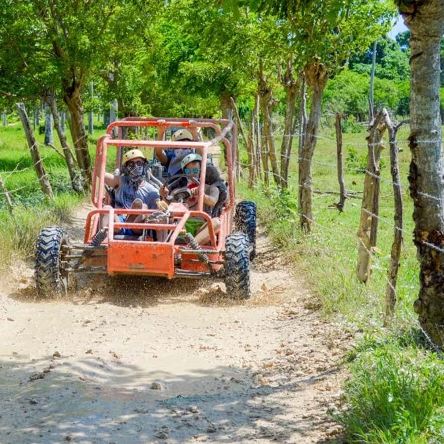Punta Cana: Macao Buggy Tour