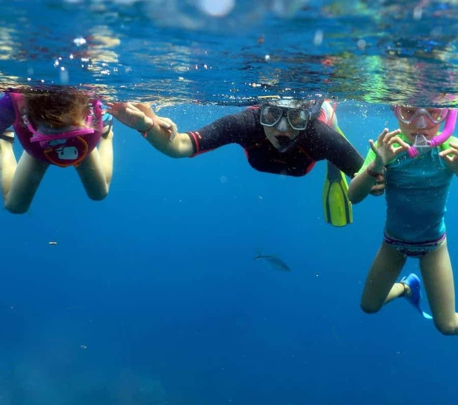 From Punta Cana: Small Group Catalina Island Snorkeling Tour