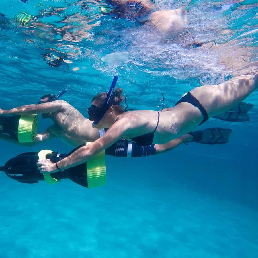 Punta Cana: Reef Explorer Access w/ Sharks & Stingrays Swim