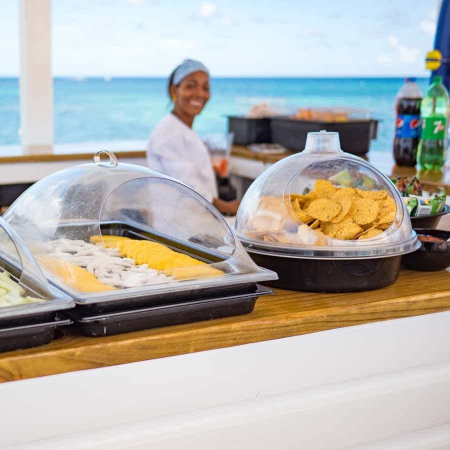 Punta Cana: Reef Explorer Access w/ Sharks & Stingrays Swim