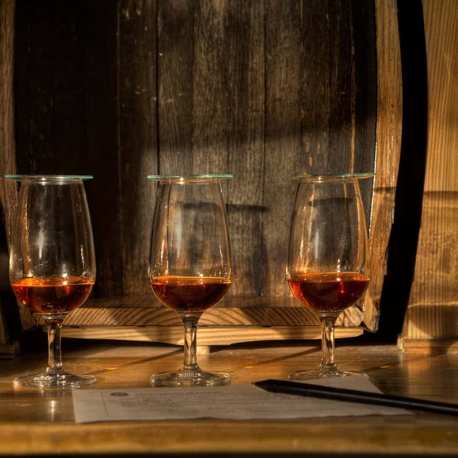 San Pedro De Macoris: Ron Barcerló Rum Factory Tour