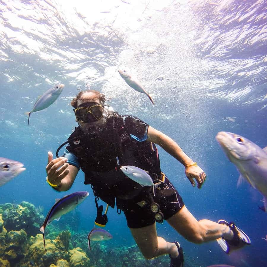 Punta Cana: Scuba Diving Adventure to Catalina Island