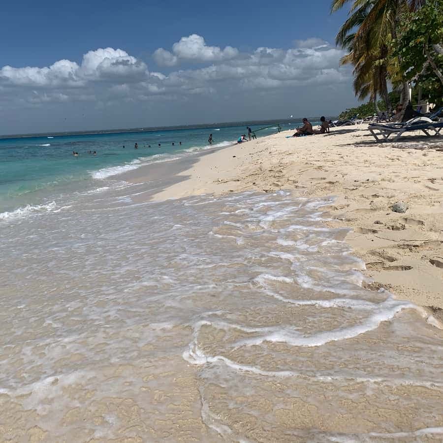 From Punta Cana: Catalina Island Swim, Sail & Snorkel