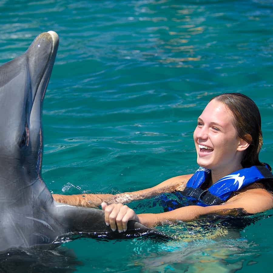 Punta Cana: Dolphin Explorer Swims and Interactions