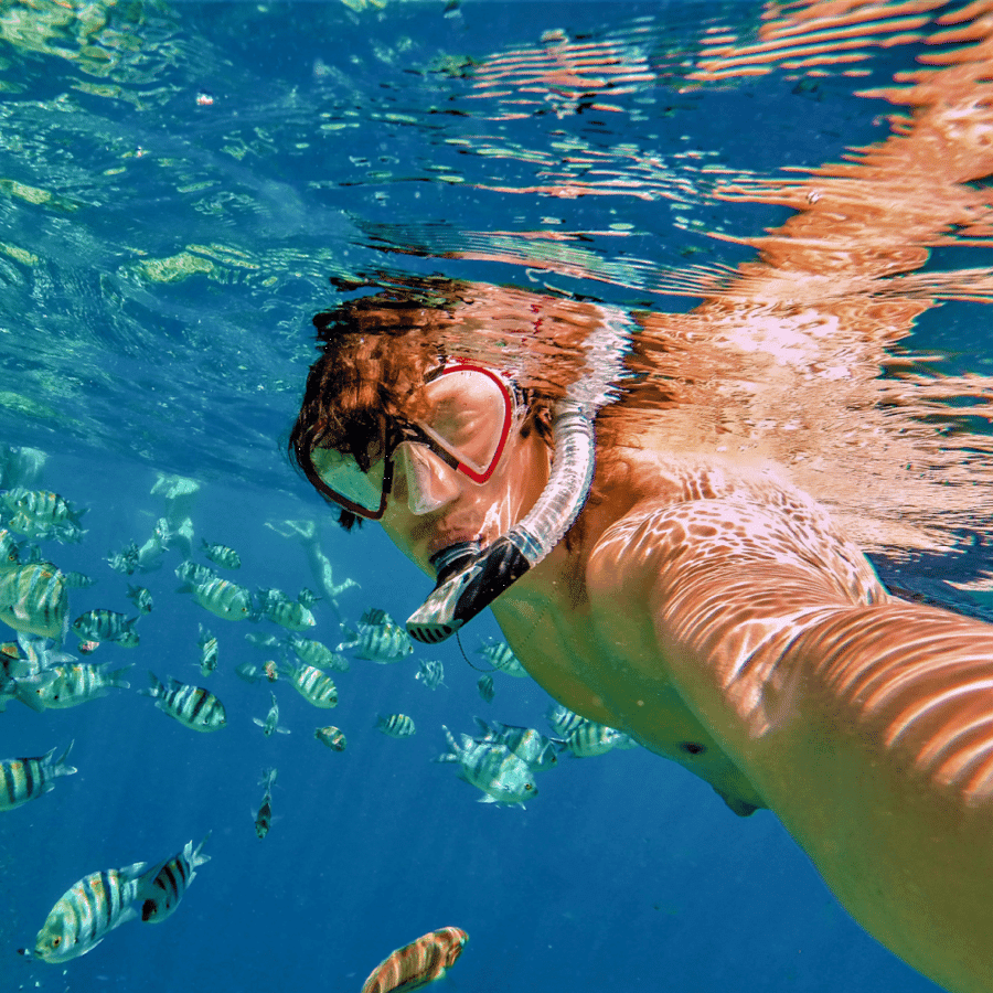 Catalina Island DayTrip + Great Snorkeling (Copy)