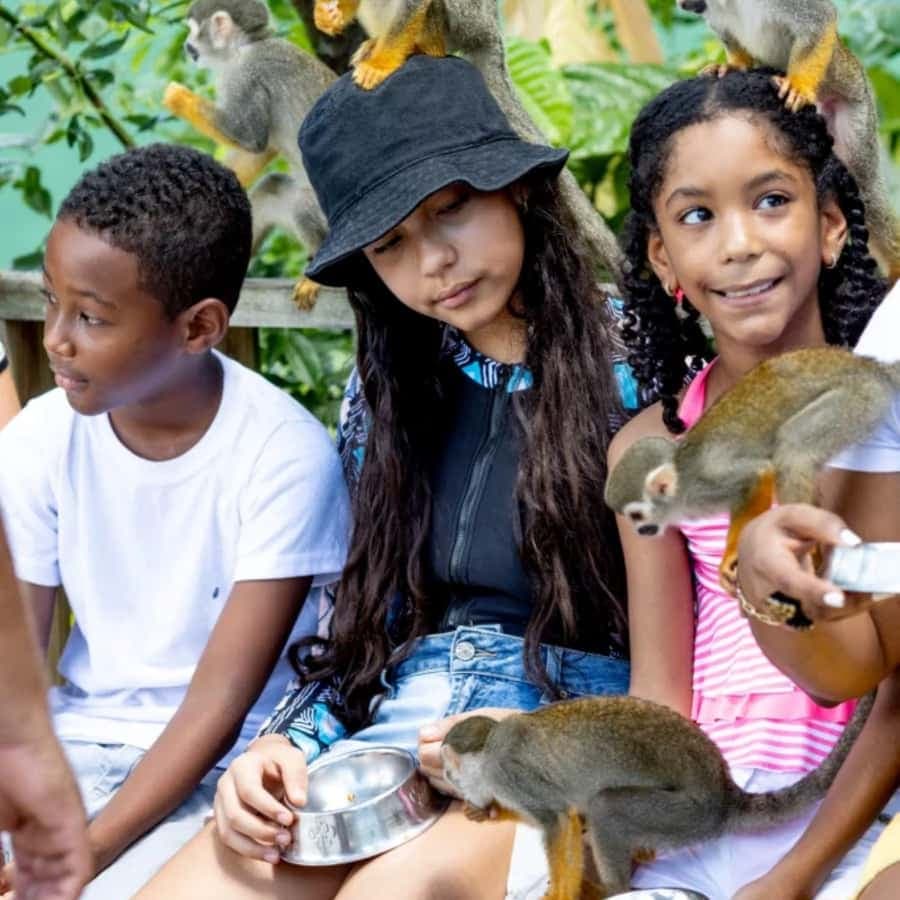 Punta Cana: Monkeyland Half-Day Tour with Snacks and Guide