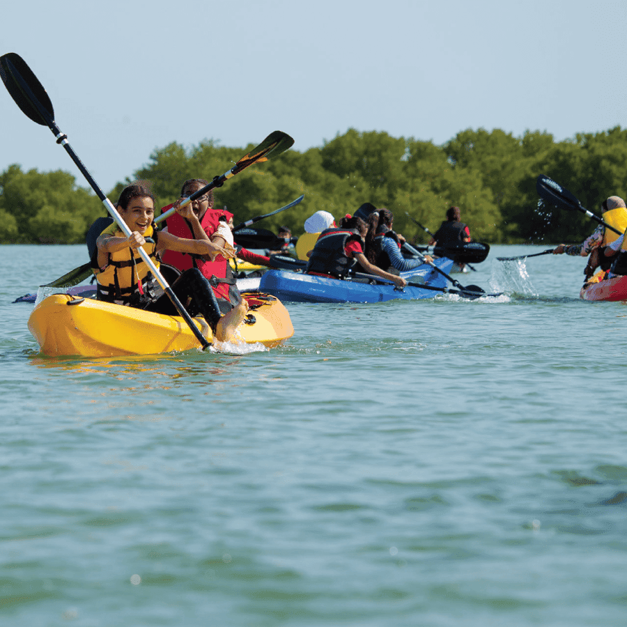 From Punta Cana: Los Haitises & Caño Hondo Private Boat Tour