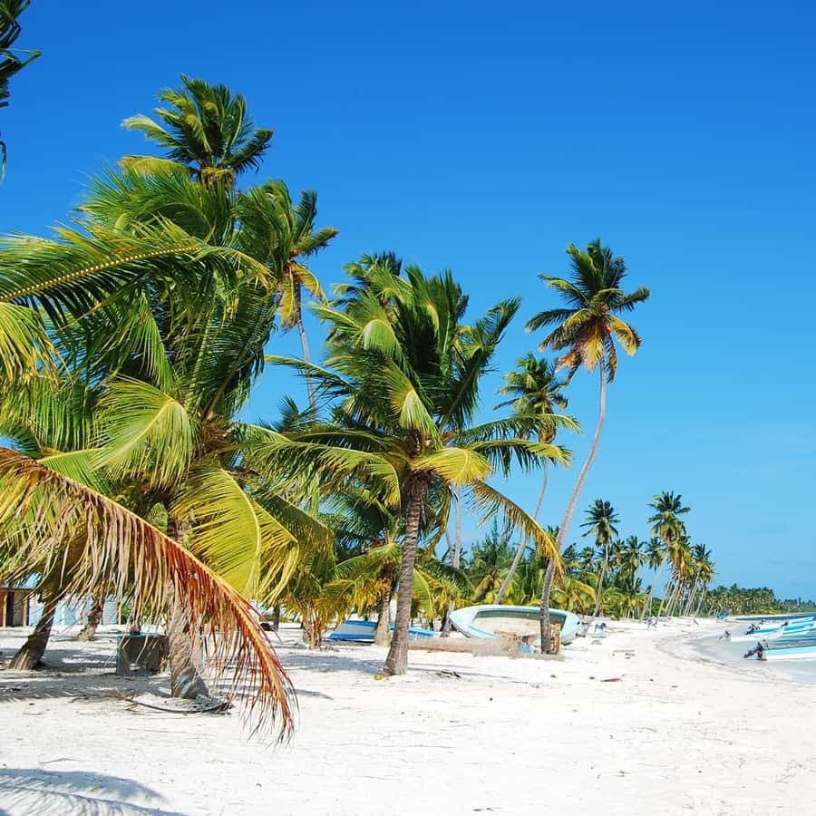 From Los Melones: Saona Island Day Trip with Lunch