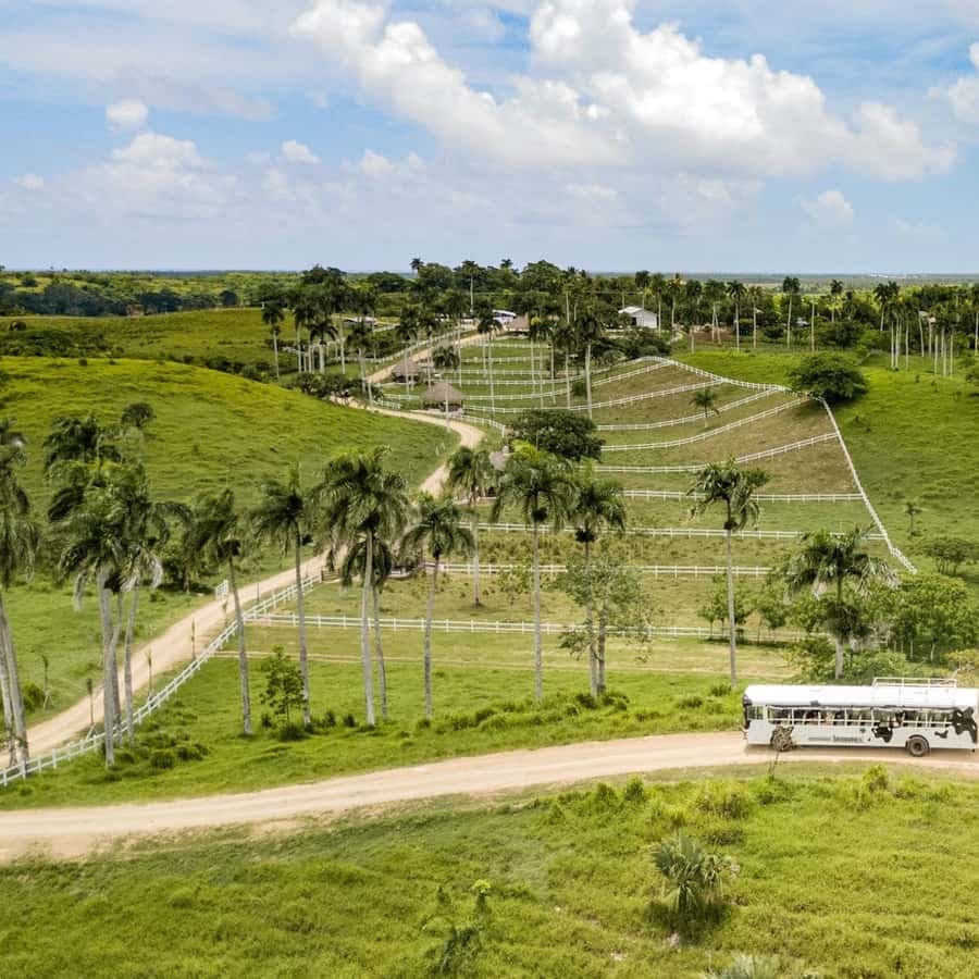 Punta Cana Xploration Animal Park Bus Tour with Hotel Pickup – Adults $90, Kids $68