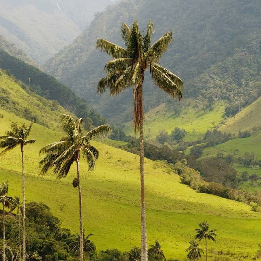 Punta Cana: Anamaya Mountains Walking Tour with Tasting