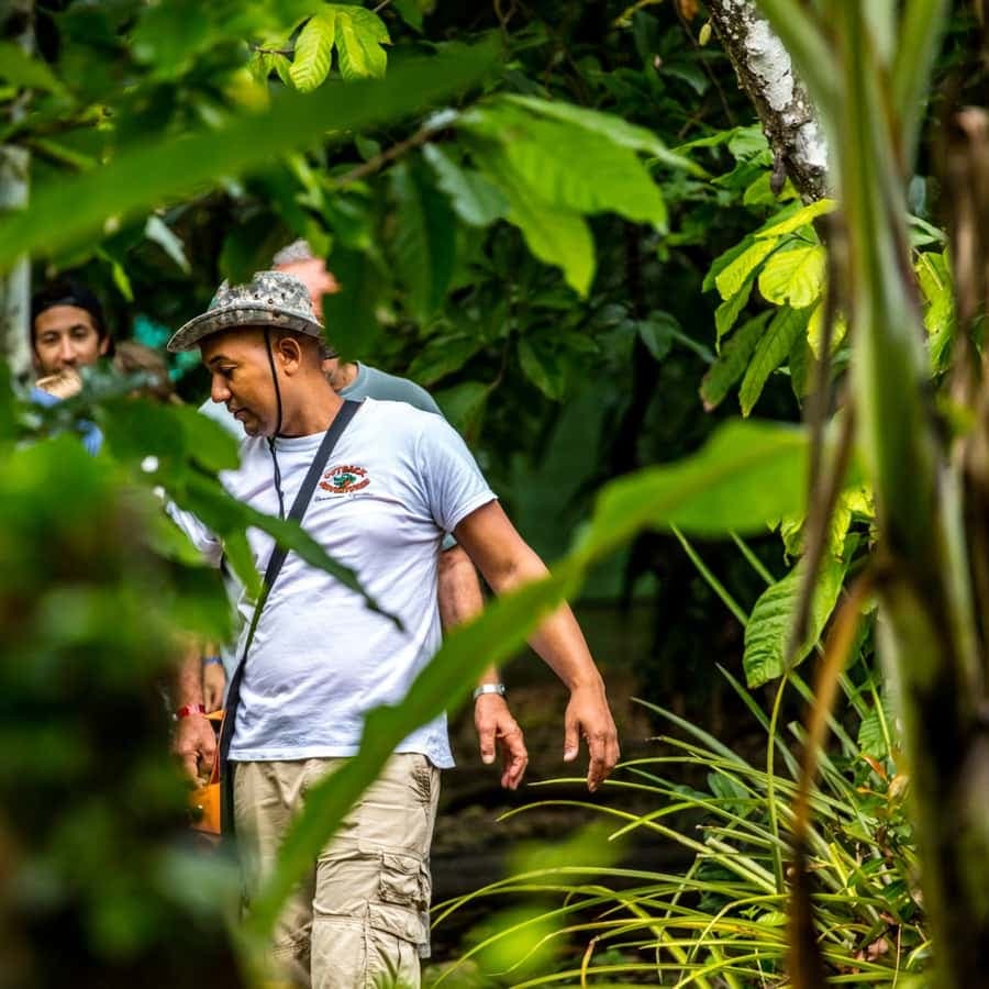 Punta Cana: Anamaya Mountains Walking Tour with Tasting