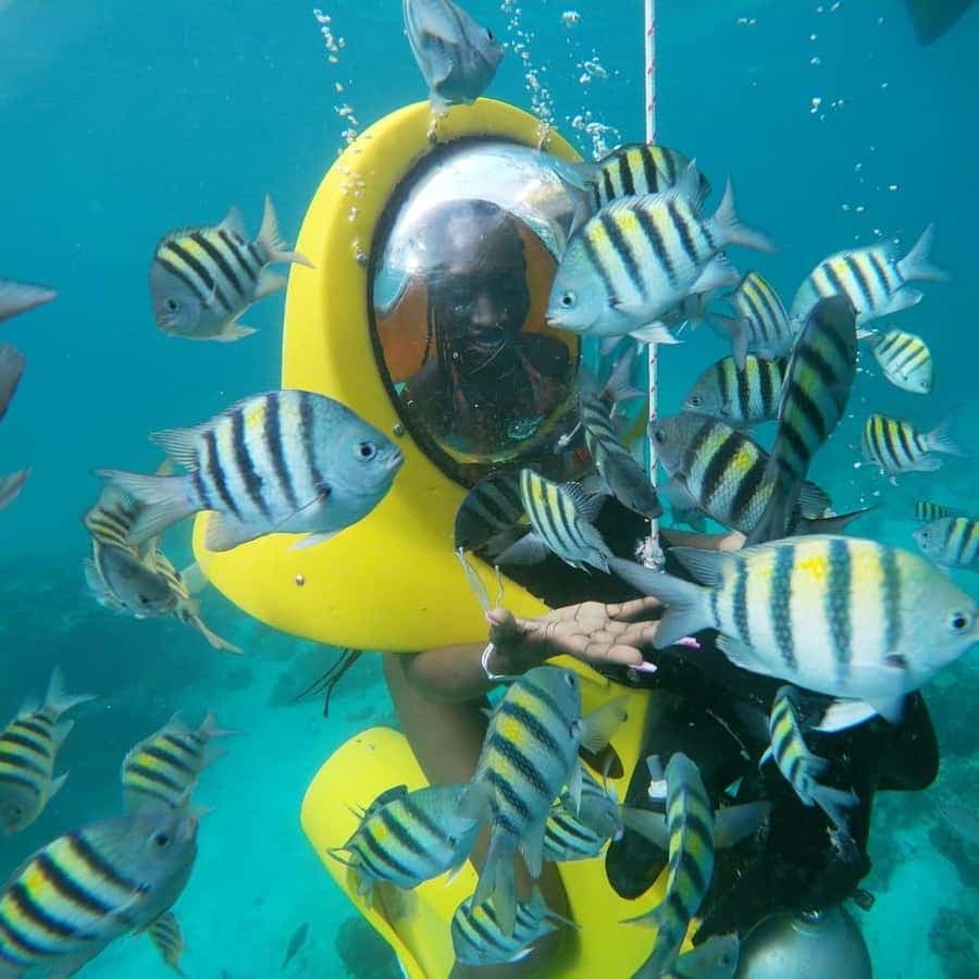 From Punta Cana: ScubaDoo, Snorkel & Glass Bottom Boat Tour