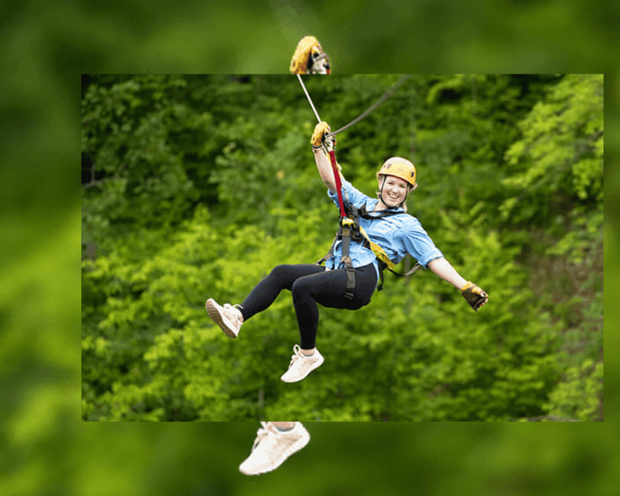 Rainforest Ziplining Adventure