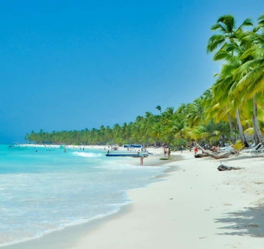 From Punta Cana: Saona Island Private Guided Catamaran Tour