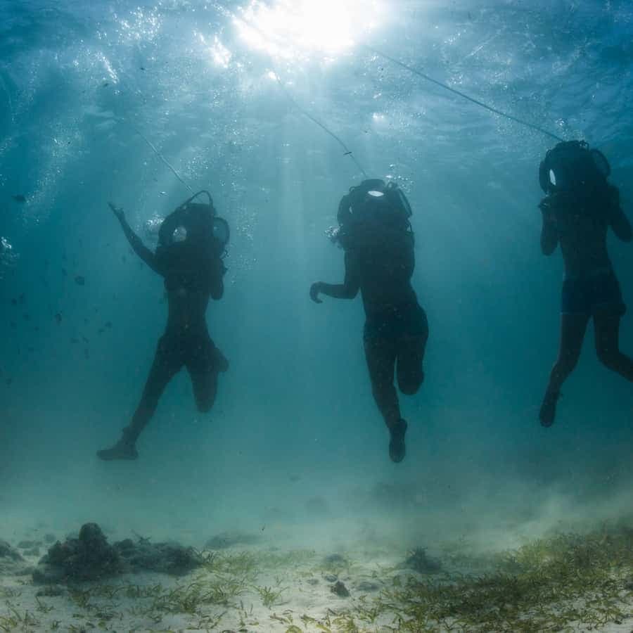 Punta Cana: Scoba Doo Discover the Underwater Wonders
