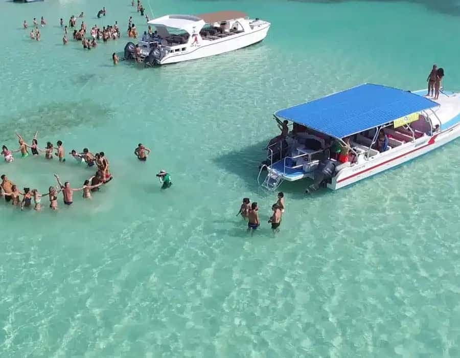 Punta Cana: Saona Island Full-Day Open Bar, Lunch & Transfer