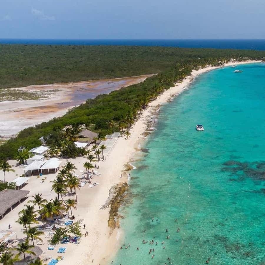 Punta Cana: Full-day Snorkelling Tour in Catalina Island