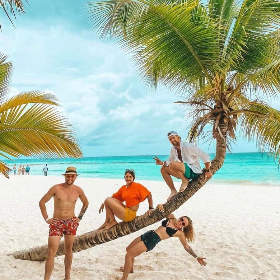Saona Island VIP: 4 Beaches , Mano Juan & Canto de la Playa