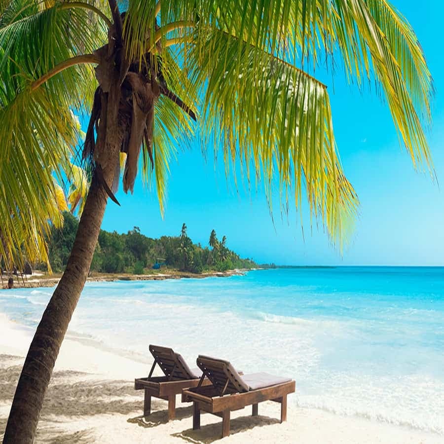 Boca Chica: Saona Island Full-Day Tour with Lunch