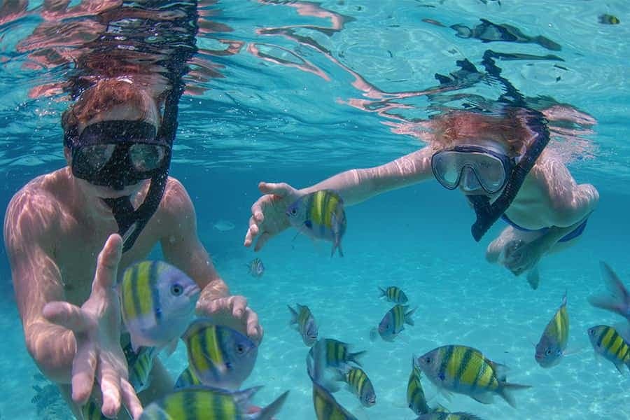 Punta Cana Private Catamaran (Small Group)