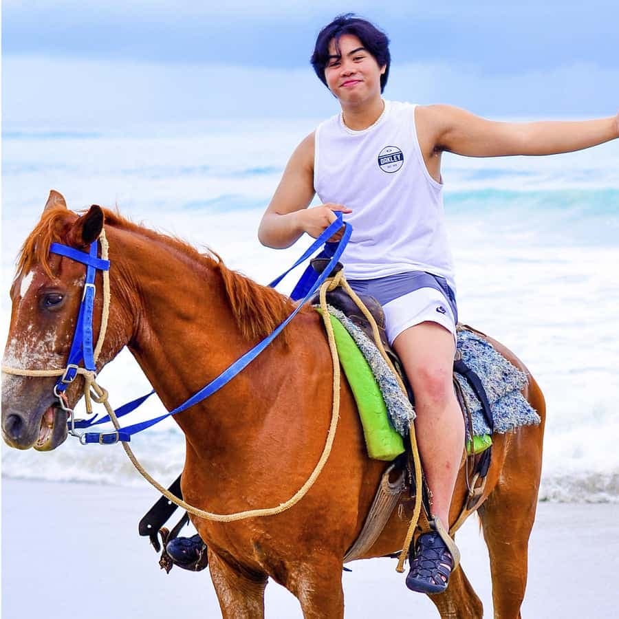 Discover the Trails of Punta Cana on a Horseback Ride