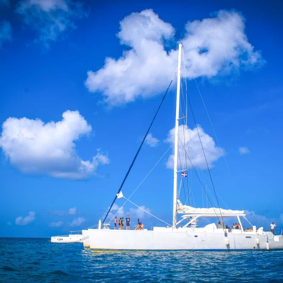 Saona Island Paradise From Punta Cana