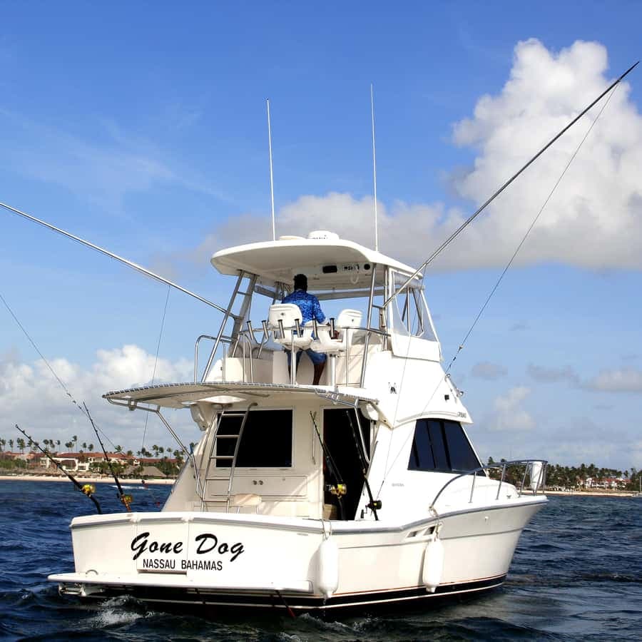 Private Fishing Charters "Gone Dog" 37' boat offshore trip