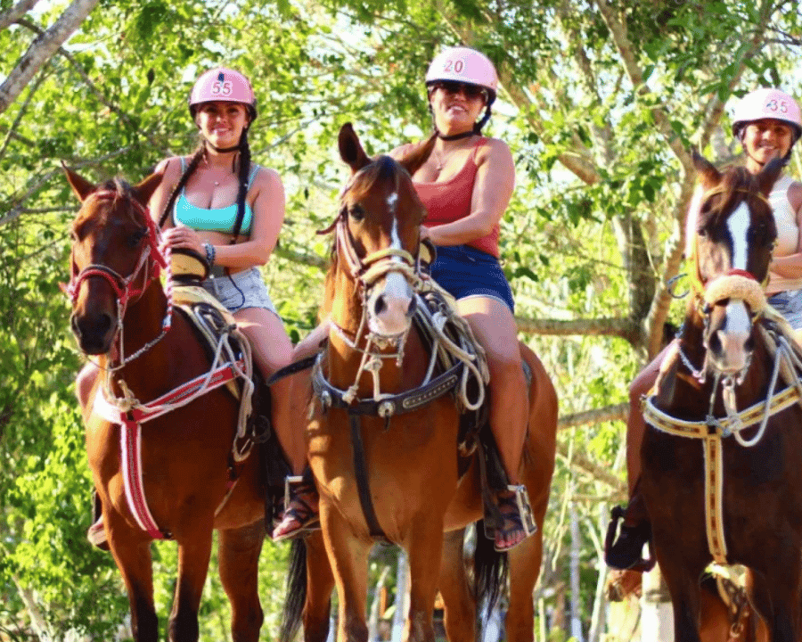 Punta Cana: ATV Adventure and Horseback Ride with Transfers
