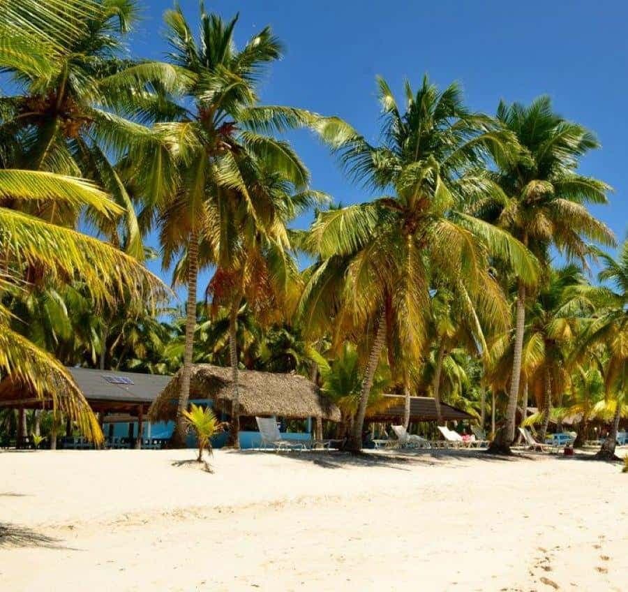 From Punta Cana: Saona Island Trip with Lunch