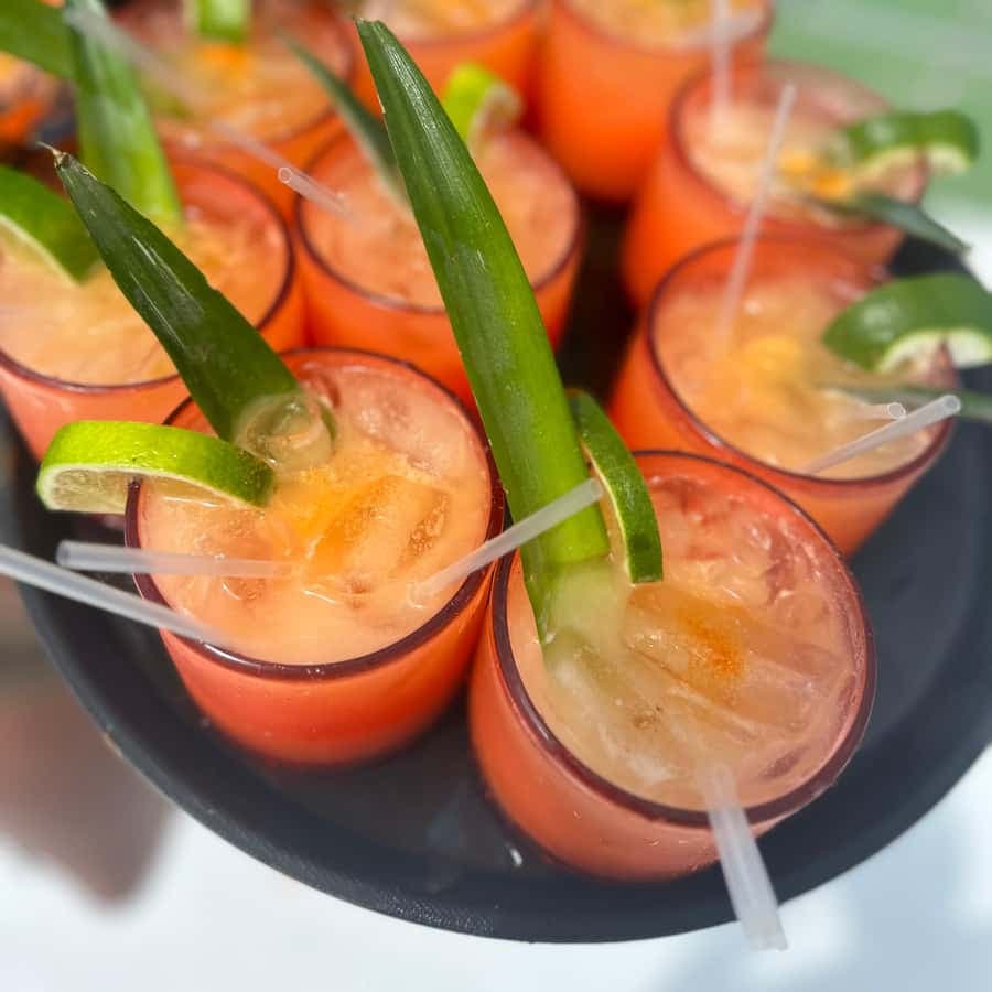 Punta Cana: Private Party Boat Cruise with Drinks and Snacks
