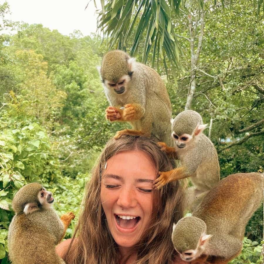 Monkey Encounter + ATV Riding Adventure – Puerto Plata