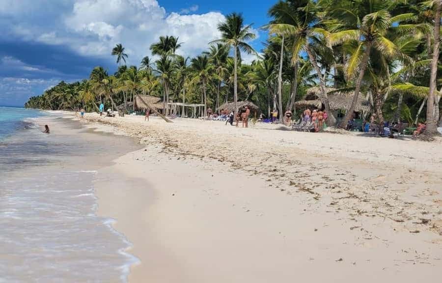Isla Saona Day Trip From Santo Domingo with Lunch