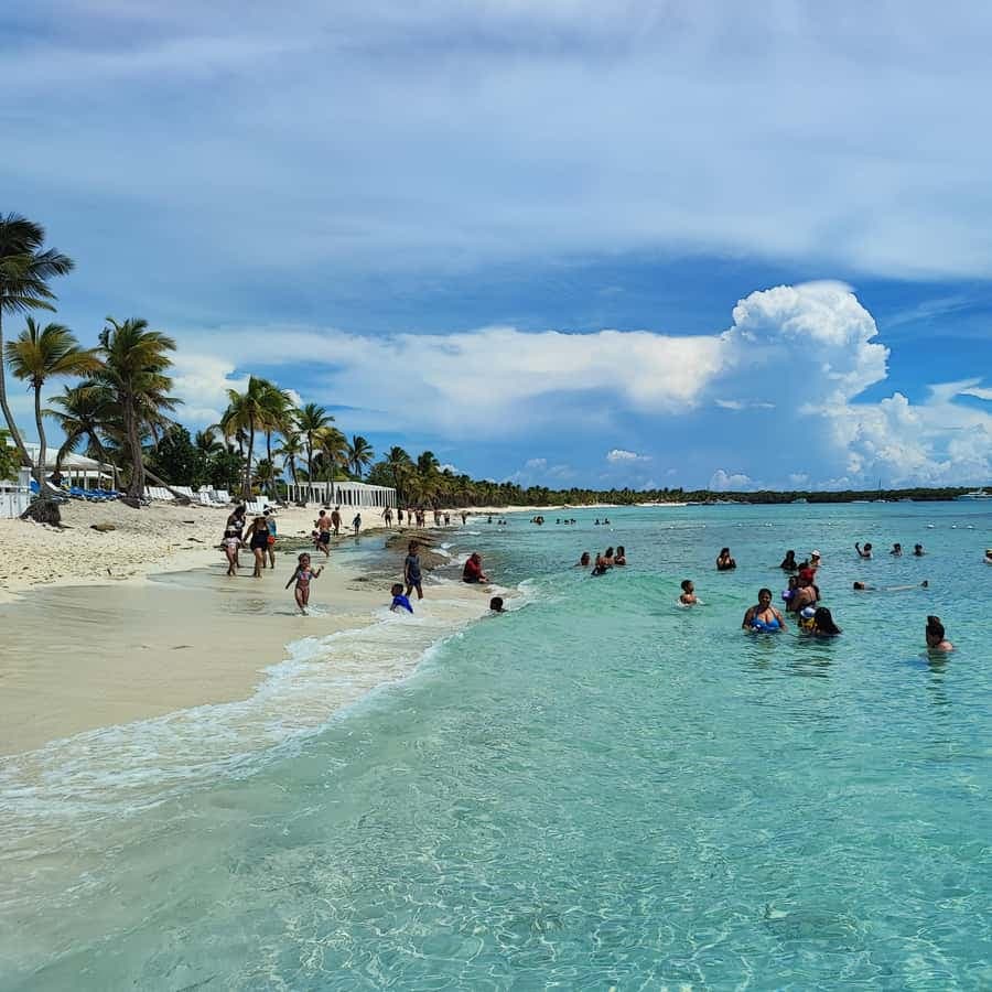 Catalina Island snorkeling: by Catamaran All inclusive