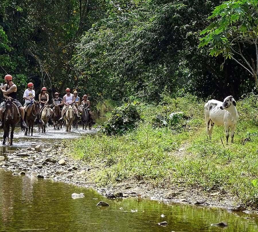 Full-Day Safari Outdoor Adventure in Punta Cana