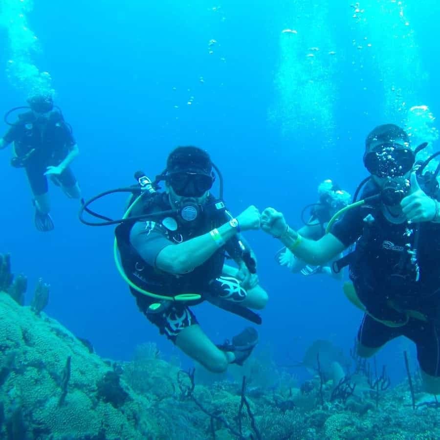 diving without a license catalina island from punta cana