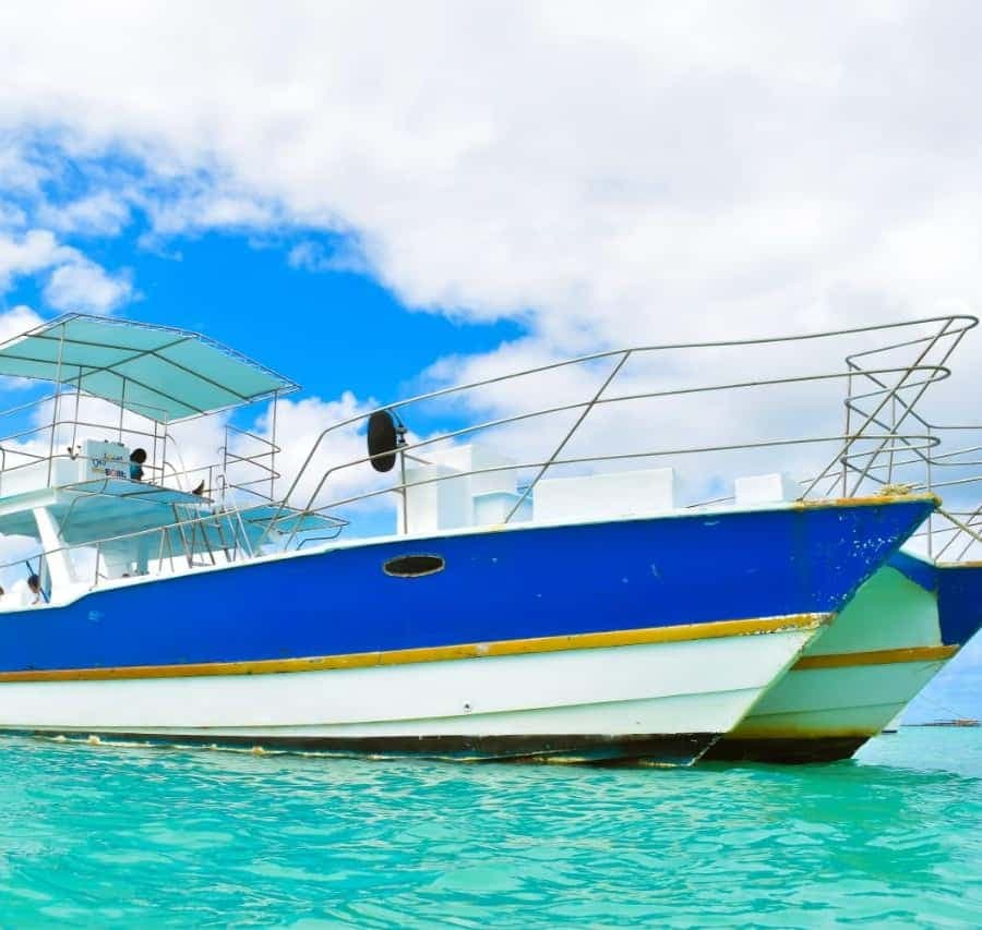 Saona Island Tour From Santo Domingo with Lunch and Pickup