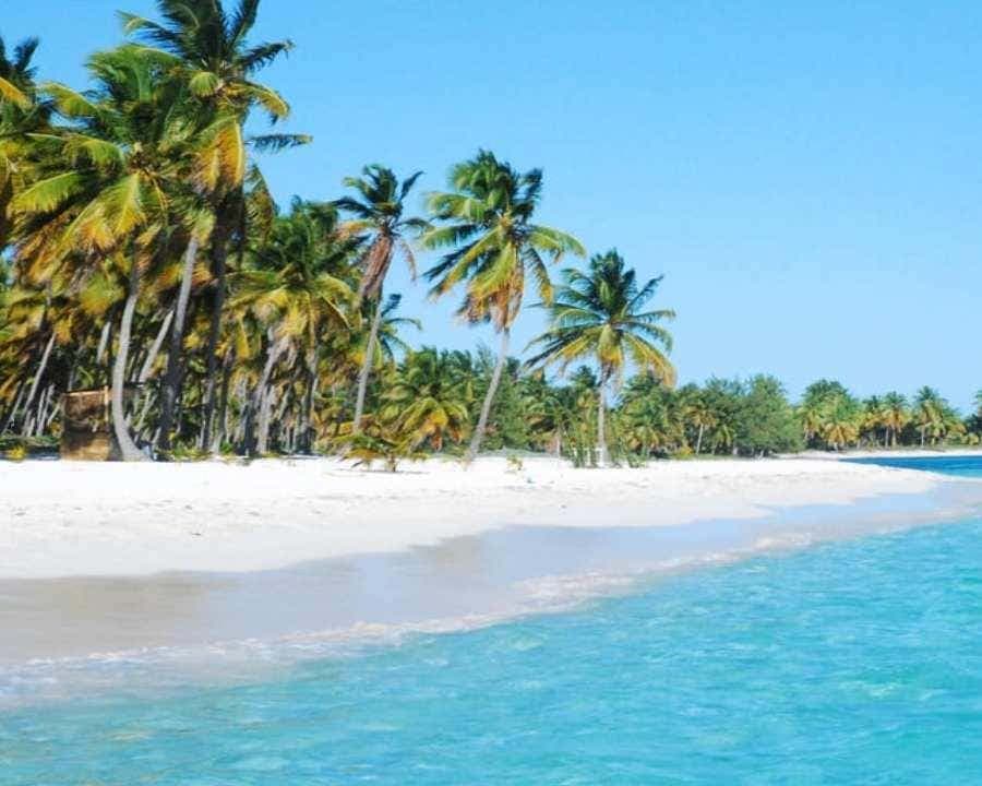 From Punta Cana: Saona Island Tour with BBQ Lunch