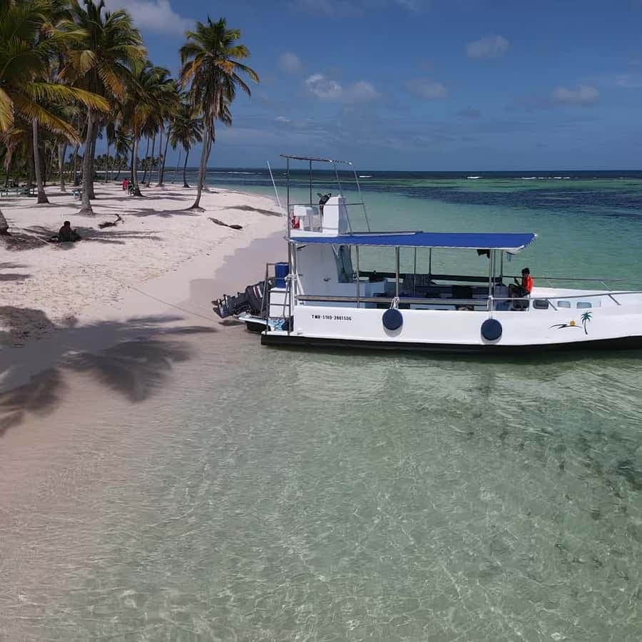 From Punta Cana: Small Group Catalina Island Snorkeling Tour