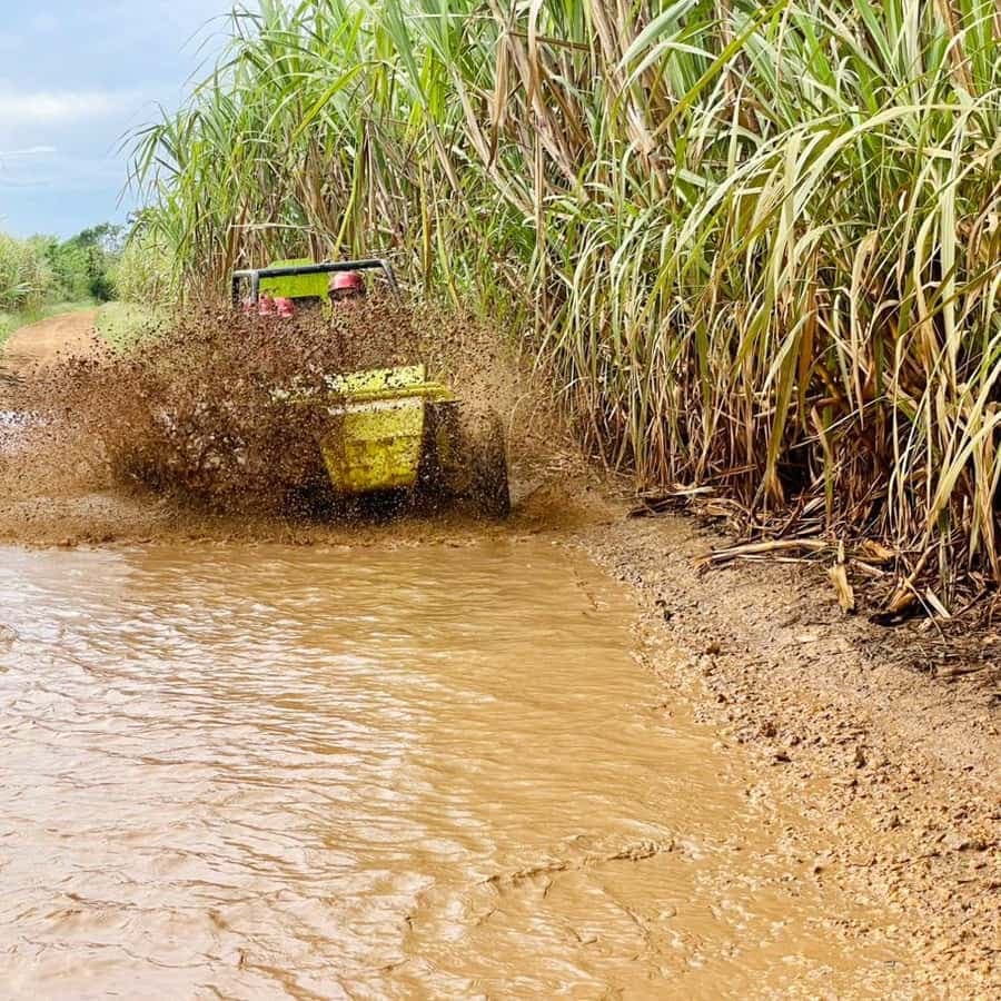 Bayahibe: Jungle Off-Road Buggy Adventure