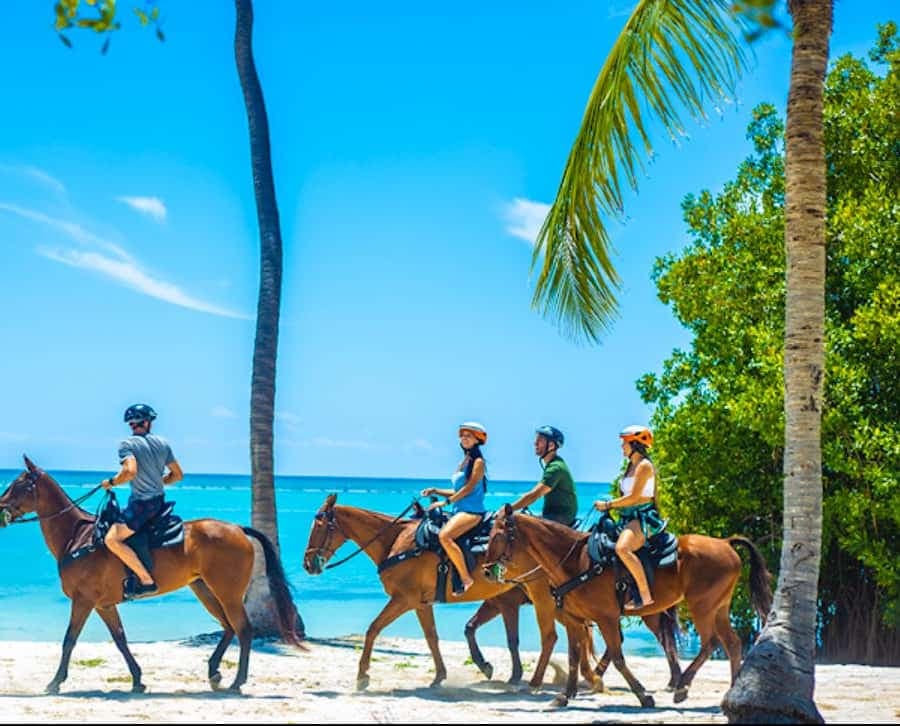Exhilarating Buggy Tours: Discover Punta Cana Scenic Wonders