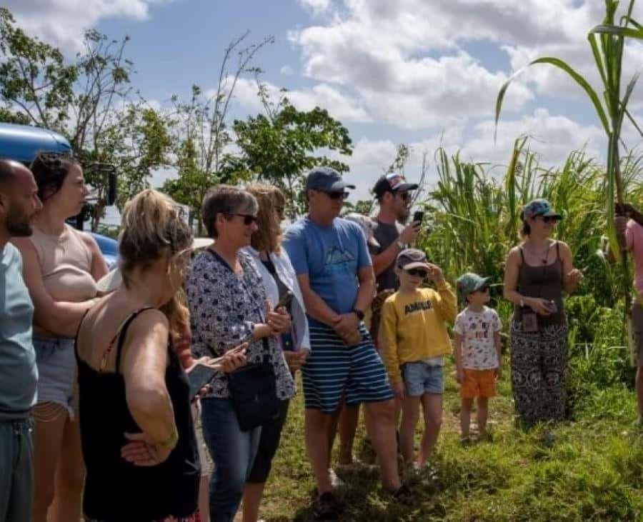 Punta Cana: Safari and City Tour with Horseback Riding