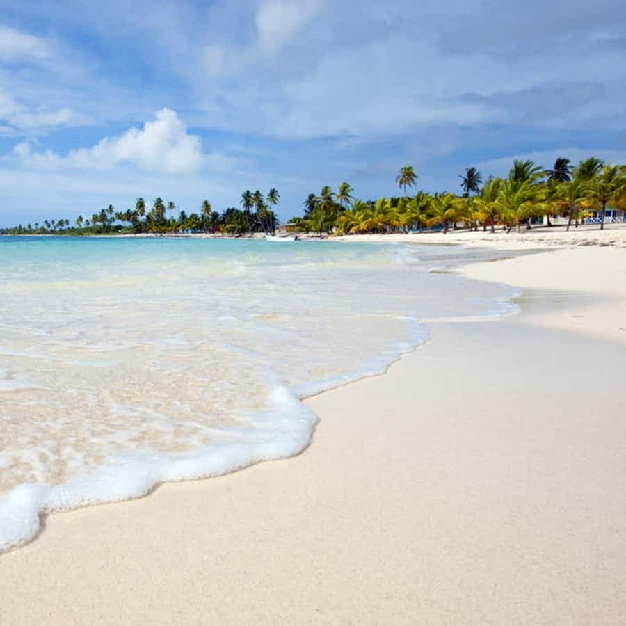Punta Cana: Isla Saona Speedboat Tour with Snorkeling