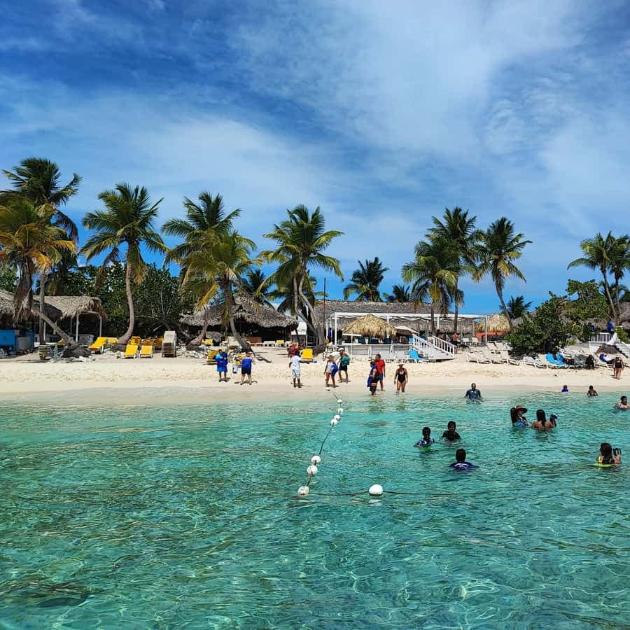 Catalina Island snorkeling: by Catamaran All inclusive