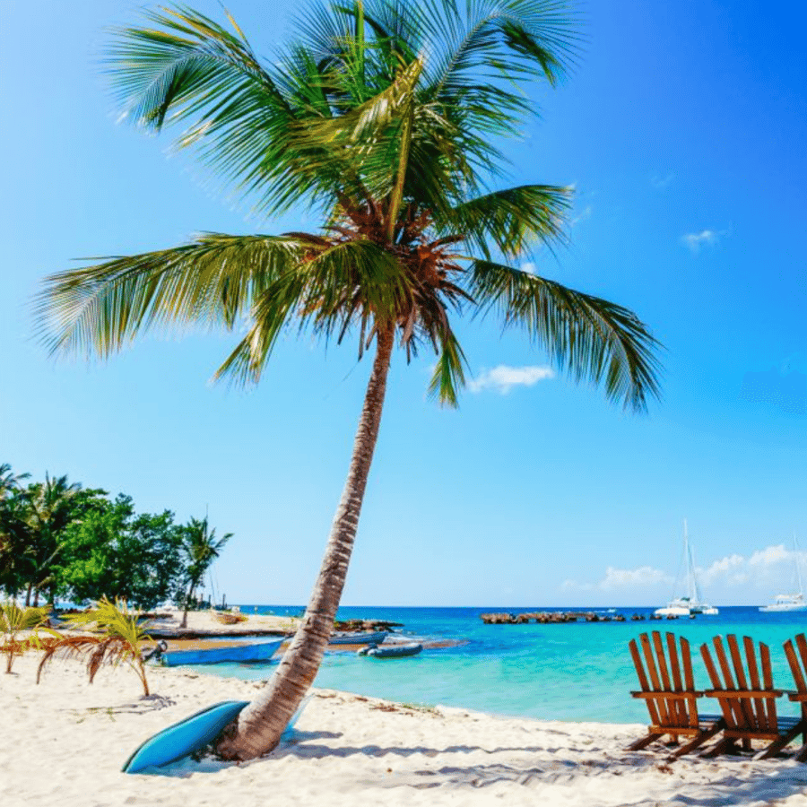 Catalina Island snorkeling Dominican Republic