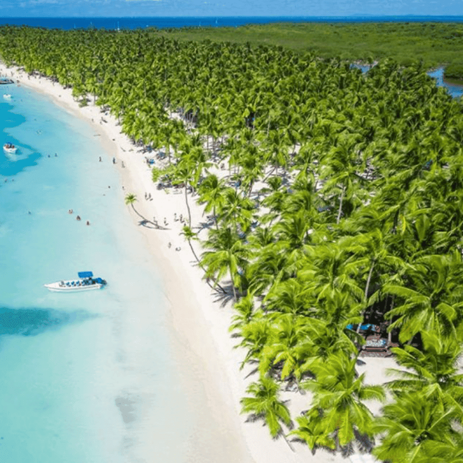 Catalina Island snorkeling Dominican Republic