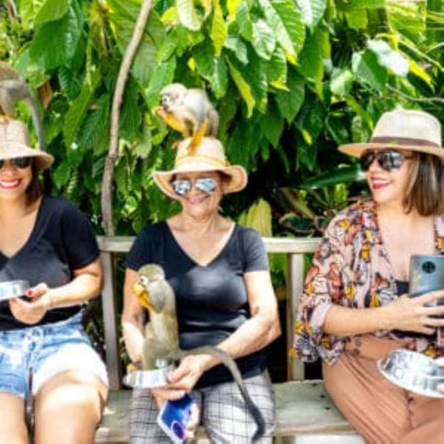 Punta Cana: Monkeyland Half-Day Tour with Snacks and Guide