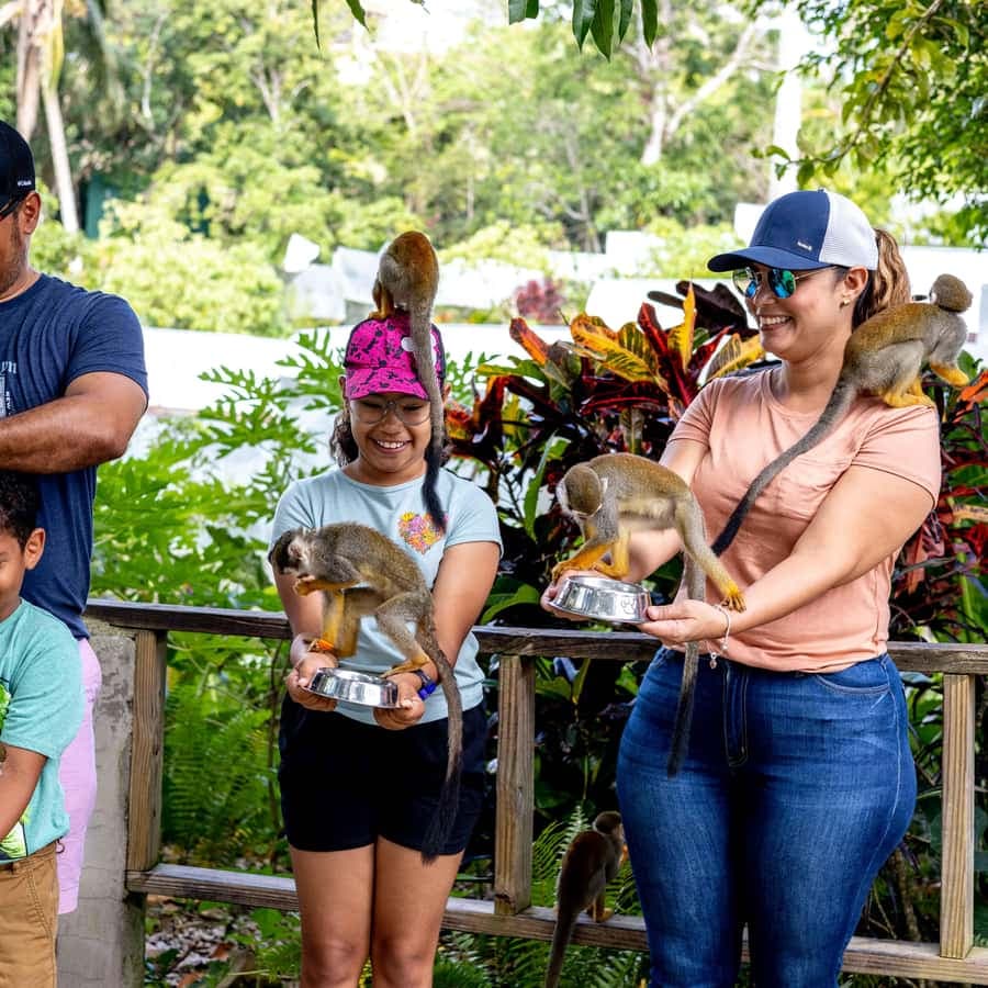Punta Cana: Monkey Land Half-Day Safari and Plantation