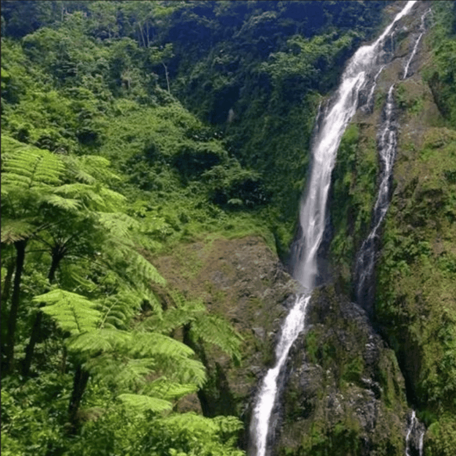 Punta Cana: Salto La Jalda & Montana redonda