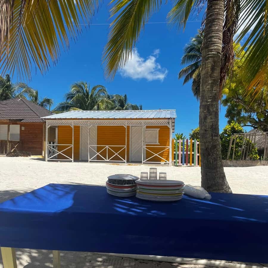 La Romana: Saona Island Boat Tour with Lunch